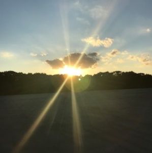 Meet your Posher, Estrella